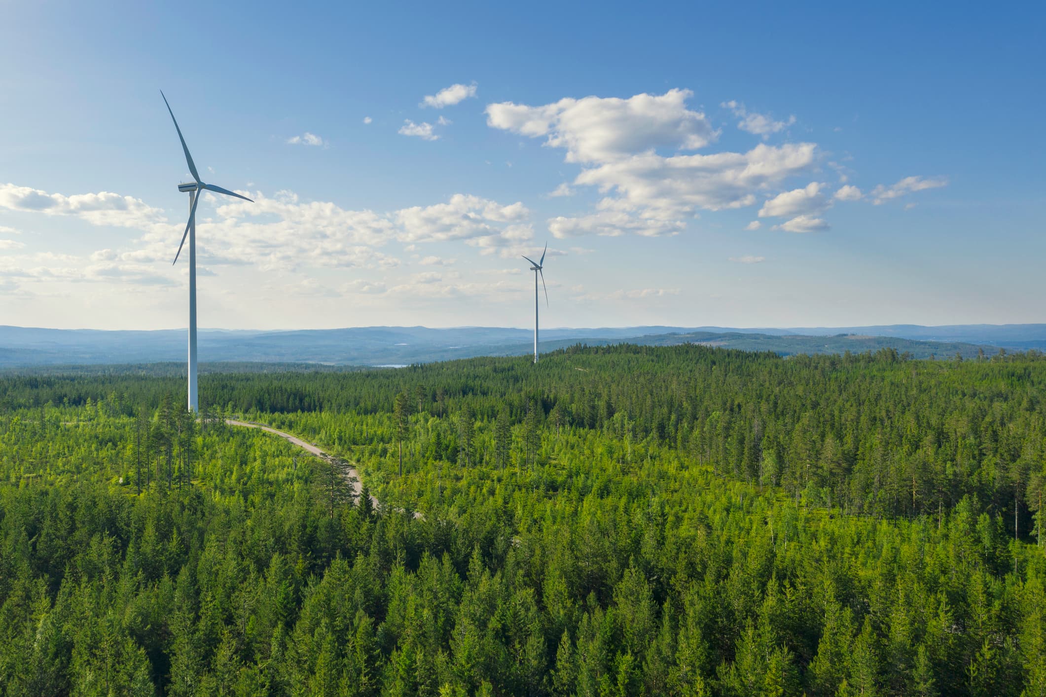 Wind park landscape